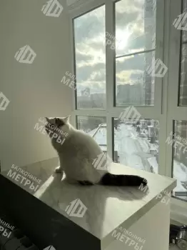 Отделка и утепление балкона Каблук в доме серии ПТ-44 Отделка и утепление балкона Каблук в доме серии ПТ-44